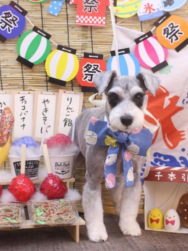 20240728ふたばちゃん